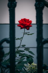 8458C8E9-0D9D-4BB1-9033-0A3256A4FDCE/L0/001