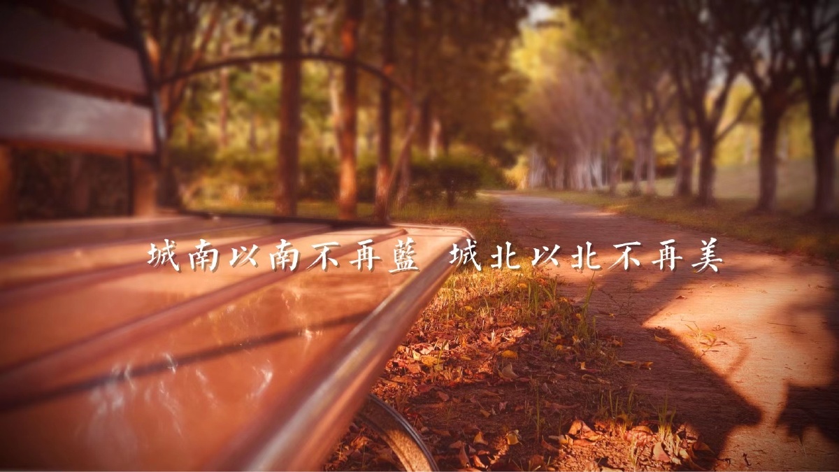 生来孑然一身_注孤 - 图虫