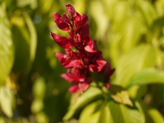 087EA9F5-3C7E-4EBD-AE8E-67927720A97A/L0/001