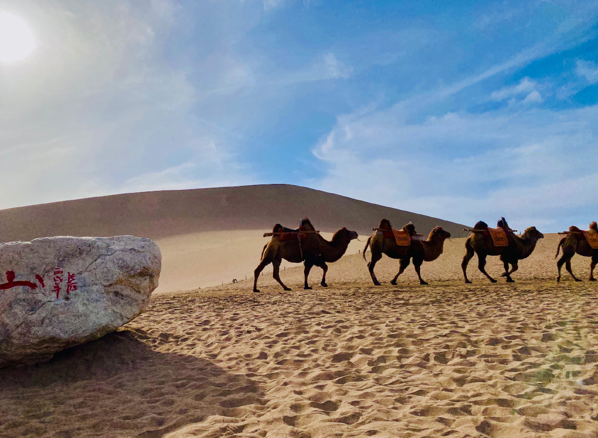 鸣沙山月牙泉骆驼
