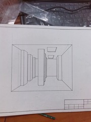 Optional(