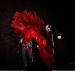 motion_1