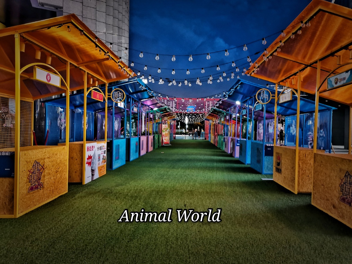 还没开业的集市从两边的店铺走过忽然想到动物世界这个词