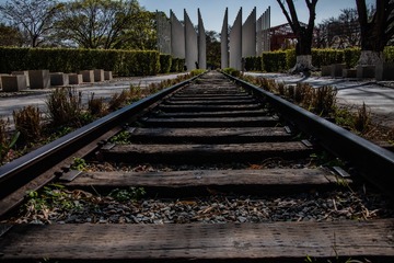 331165