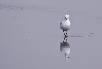 5007