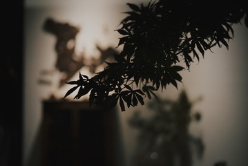 36C568CF-A6C0-4111-B8B0-E698CB67251D/L0/001