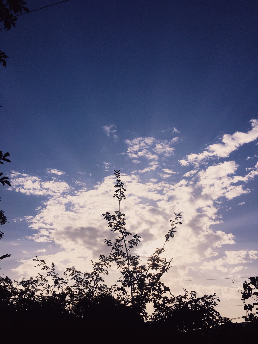 天渐渐破晓淡青色的天空镶嵌着几颗残星大地朦朦胧胧的如同笼罩着银