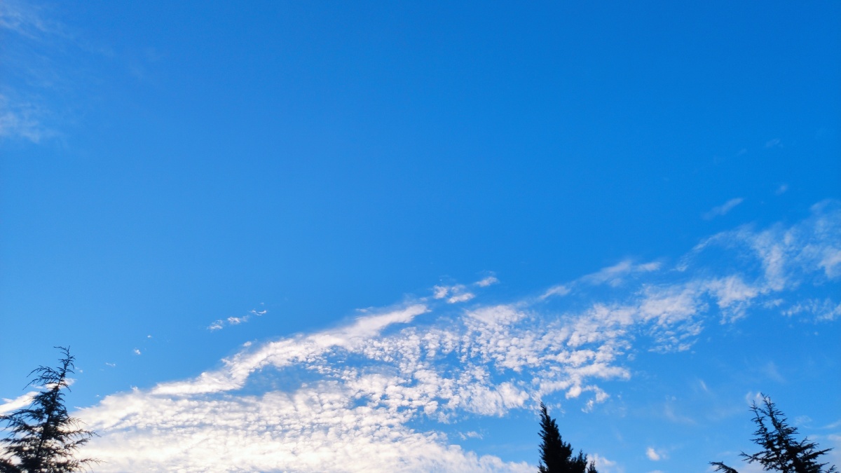 初秋的早晨明媚的天空飘逸的白云78无法抒发的美好