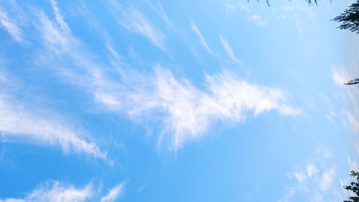 初秋的早晨明媚的天空飘逸的白云78无法抒发的美好