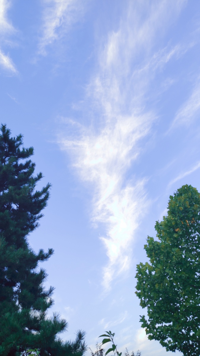 初秋的早晨明媚的天空飘逸的白云78无法抒发的美好