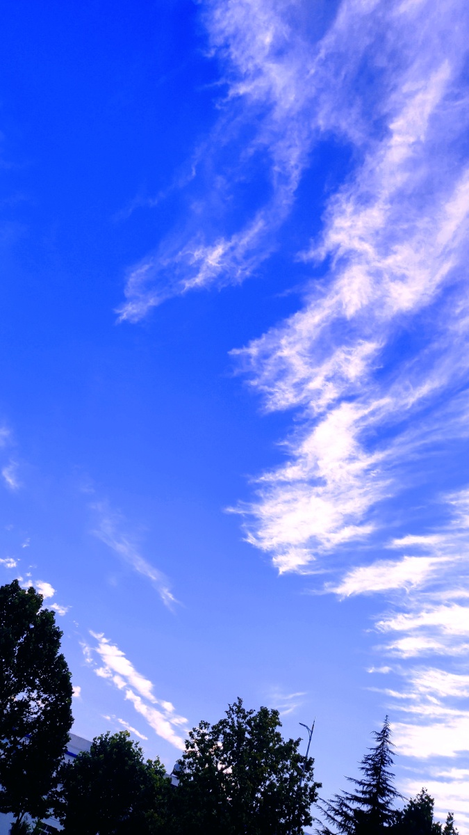 初秋的早晨明媚的天空飘逸的白云78无法抒发的美好