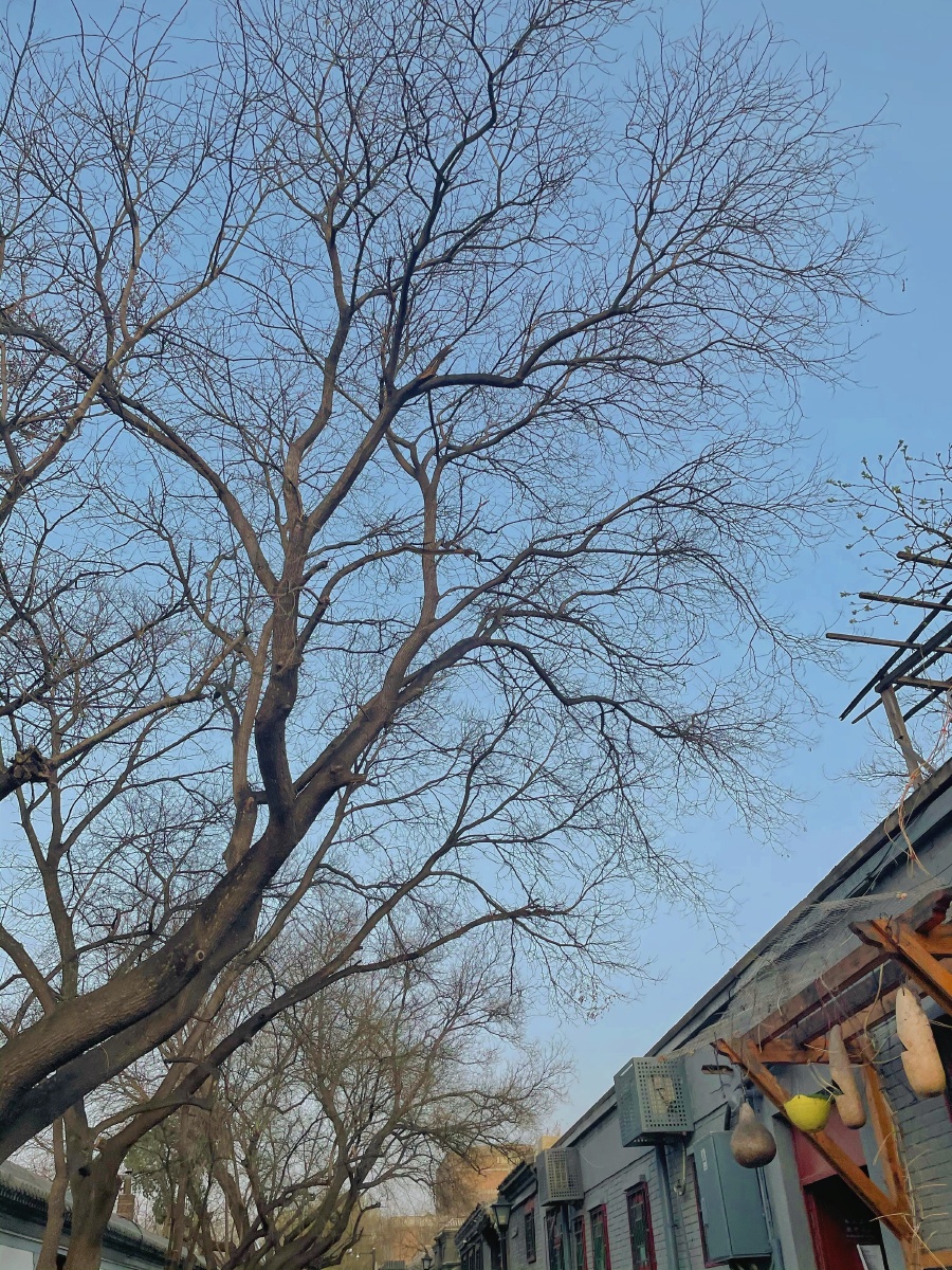 一份带滤镜的照片