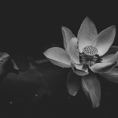 9CB4C032-2CA5-46C9-B0E7-CC04CECB0362/L0/001