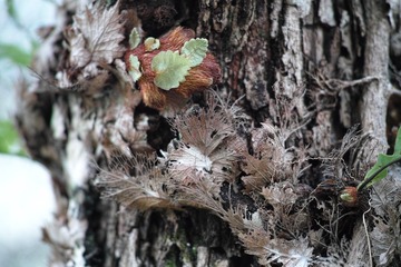 SDIM0556
