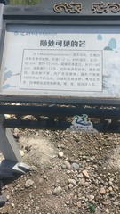 587763