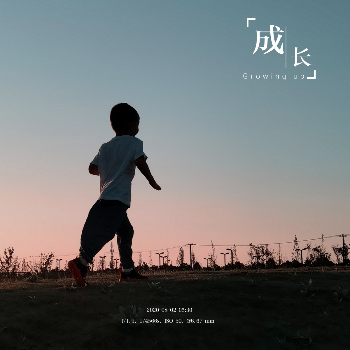 我独自渐行渐远膝下多了个少年少年一天天长大有一天要离开家