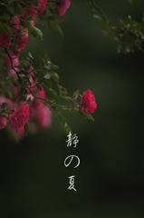 565224