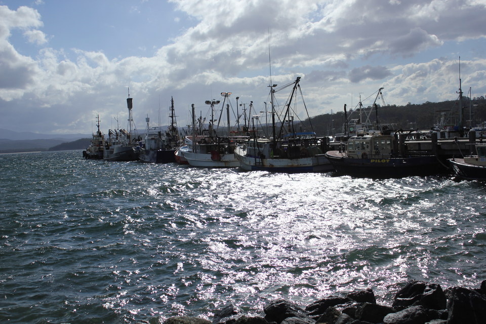 d1: fishery port br /> eden fishery port harbored hundreds of