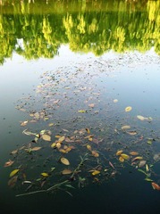 燕园未名湖