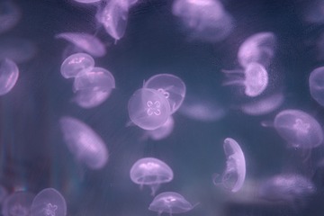 110100