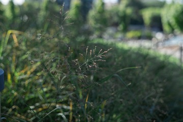 1D249A0E-C4C5-42C6-8323-B73D6ABCC481/L0/001