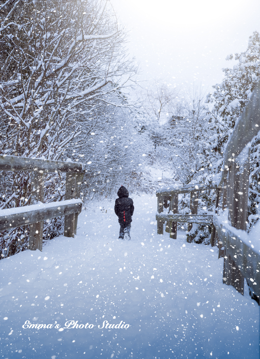 2020的最后一个雪天期待明天更美好