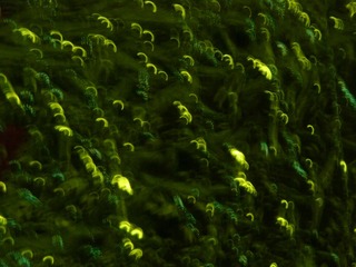 688702