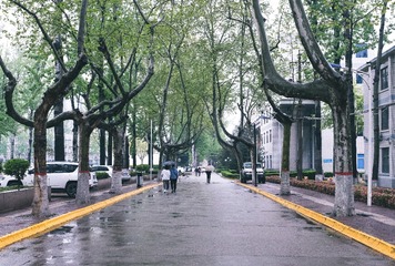 80972E96-3EE6-40E1-B1F8-C20B9D09CDCB/L0/001