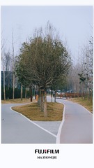 2C274BD3-2AEE-485E-93C0-1E96EE8F83EE/L0/001
