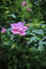 DD36BD53-CCD2-4552-B048-D25E92A8E369/L0/001