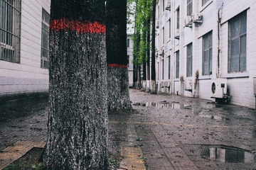 347977EB-A778-42F5-8F2F-67778475AF47/L0/001