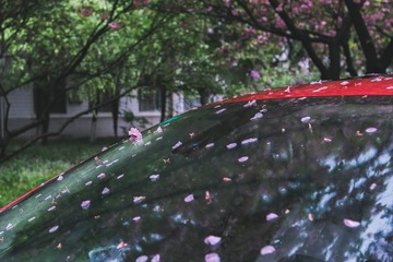 E122A1E5-D598-4EBA-AAA5-ECCC87DF63E5/L0/001