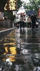 B5C33809-A8C0-4D27-8E8B-AA3038285D57/L0/001