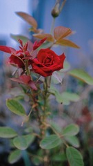 998B2748-7615-4081-ADA8-204D1C934CD0/L0/001