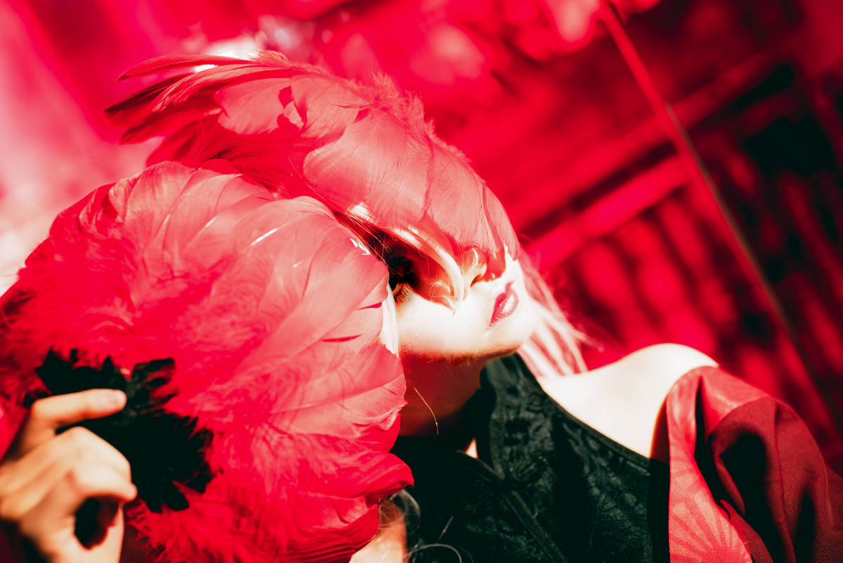 红蝶仙鹤般若相