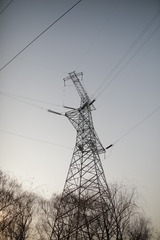 416658