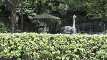 79168D6F-903D-4374-A3CC-328B956DD5C4/L0/001