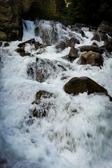 1000017932