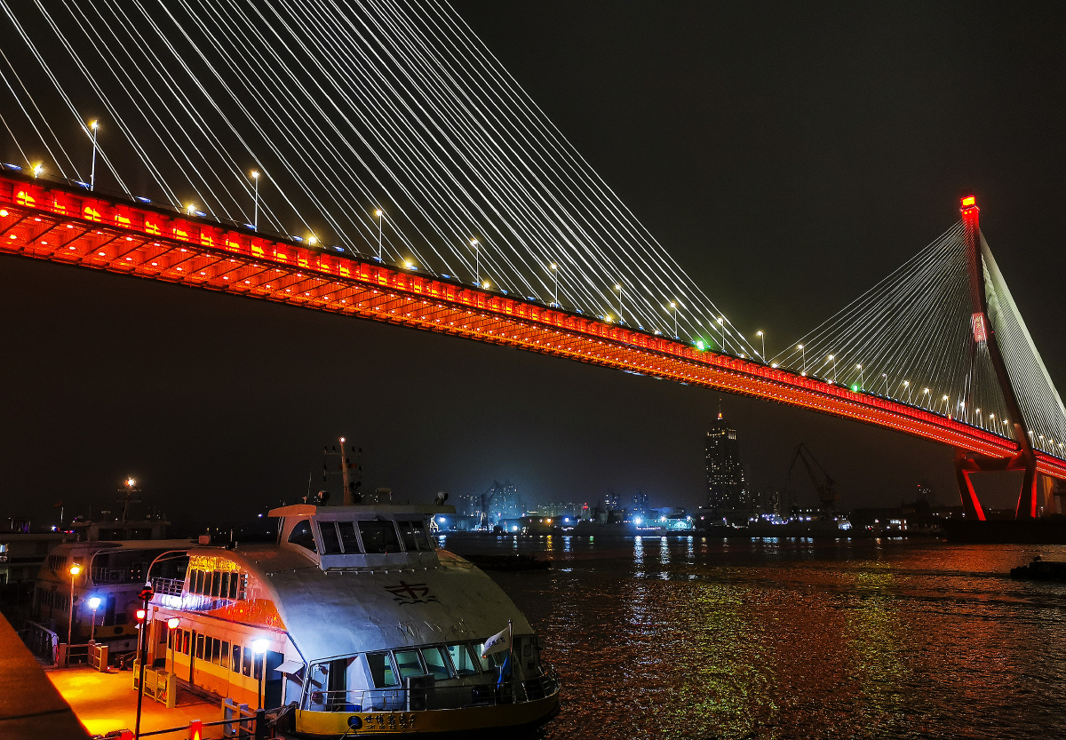 夜色下的杨浦大桥