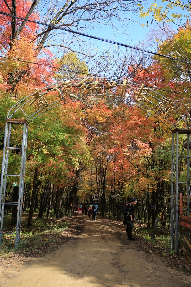 吉林舒兰红叶谷