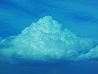 1890AA55-C936-492F-8E18-6FFB4E67DD17/L0/001