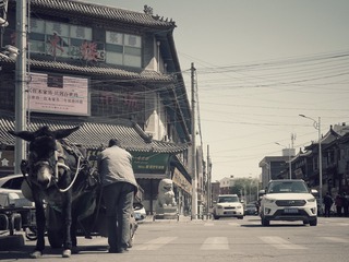 AA8C100B-3AEA-4A3E-B10D-1E272DDDB4F9/L0/001