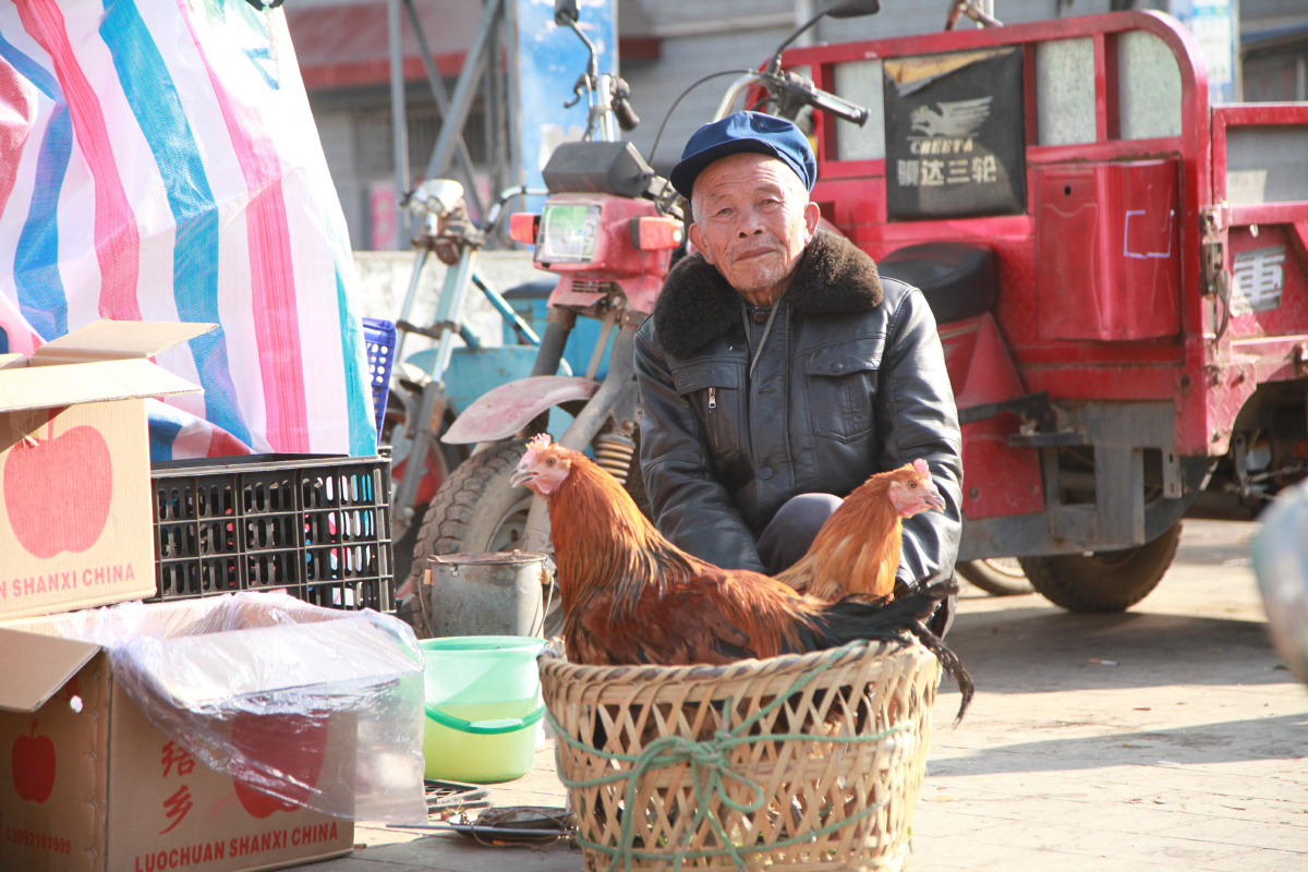 西头村人 - 4南方 - 图虫