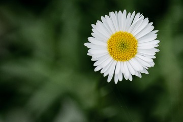 317560