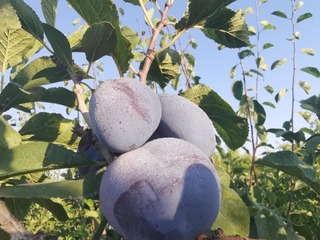 578