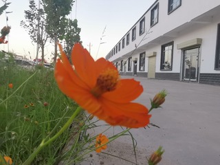 871