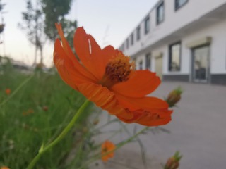 872