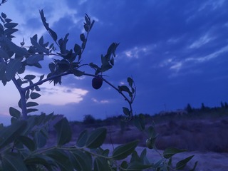 612