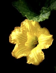 6A906E73-0803-4FD1-B1B5-9DA7C747DA10/L0/001