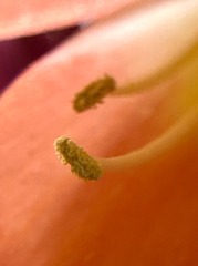 1D6639A8-09F1-4997-985E-D020EA3E24C7/L0/001
